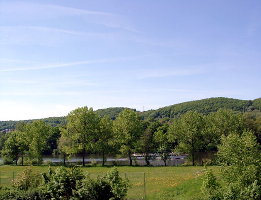 Blick auf die Mosel